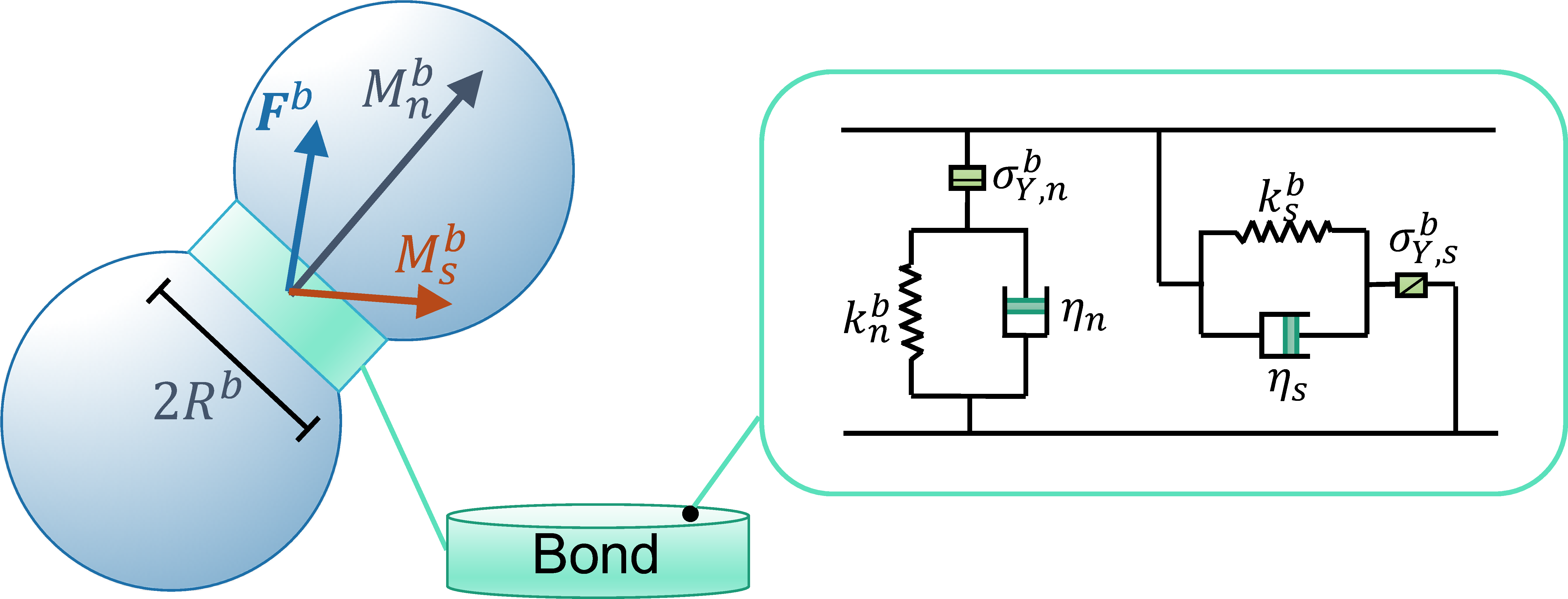 bpm_rheological_model